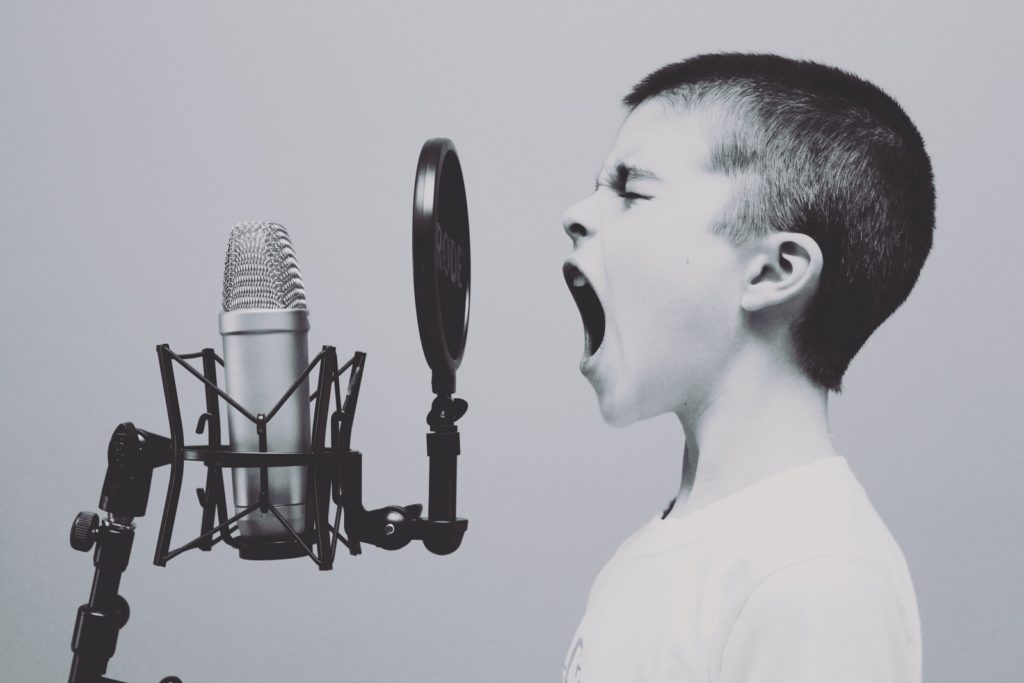 article vokalys ancrage dans la voix pourquoi comment bénéfices pour le geste vocal. prendre soin de sa voix, prendre soin de soi